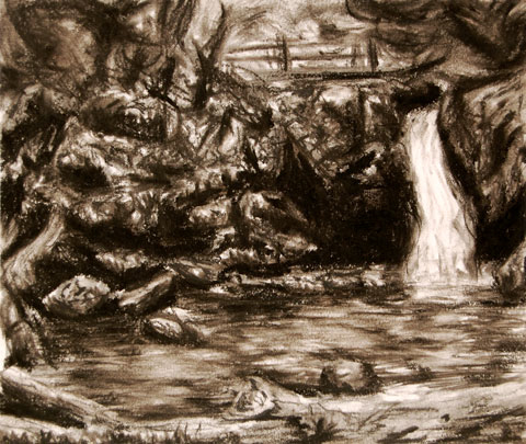 8" x 10" Charcoal Pencil on paper 2002 (El Yunke, Puerto Rico) Inspired by my trip and refrenced from a photo I shot