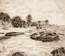 8" x 10" Charcoal Pencil on paper 2002 (Vieques, Puerto Rico) Inspired by my trip and refrenced from a photo I shot